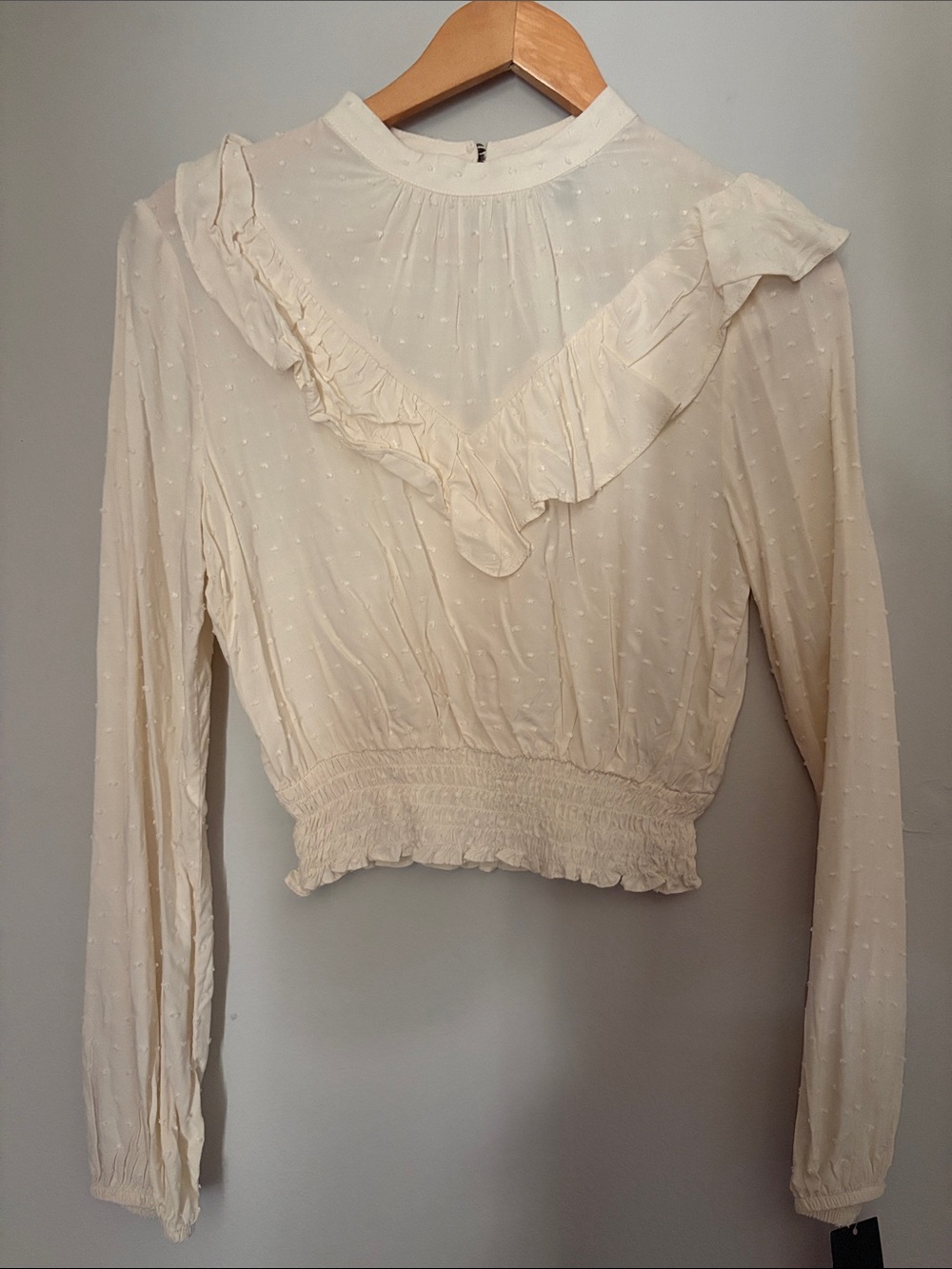 wild fable Cream Ruffle Swiss Dot Long Sleeve Blouse